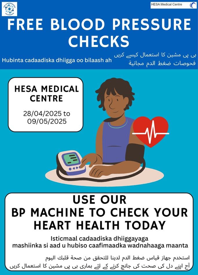 Hesa Pilot Poster
